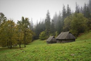 Fotoaktywni 29